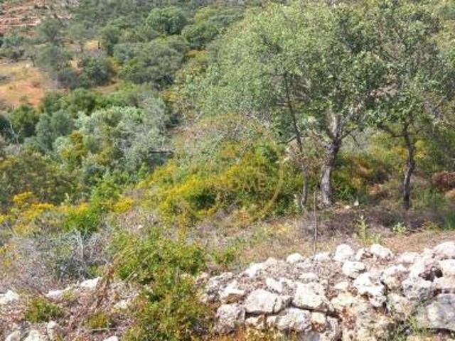 Terrenos Loulé Algarve DS86008760
