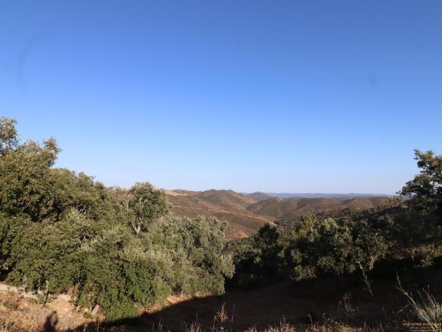 Terrenos Loulé Algarve DS86009093