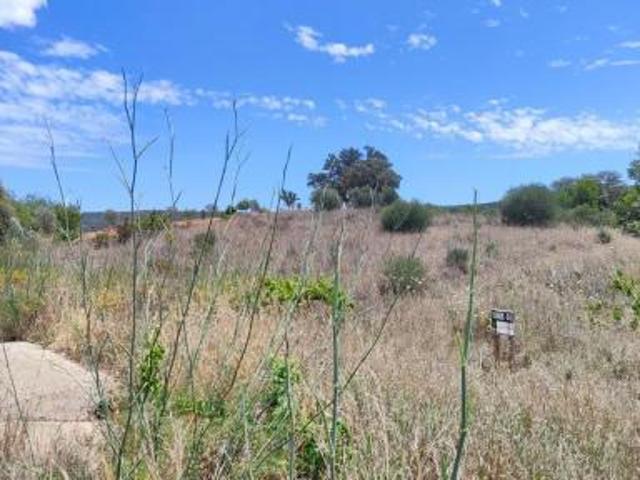 Terrenos Loulé Algarve DS87358383