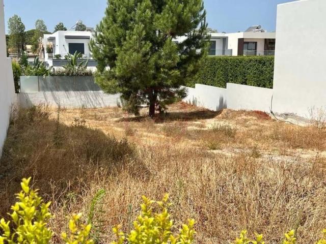 Terrenos Loulé Algarve DS90386165