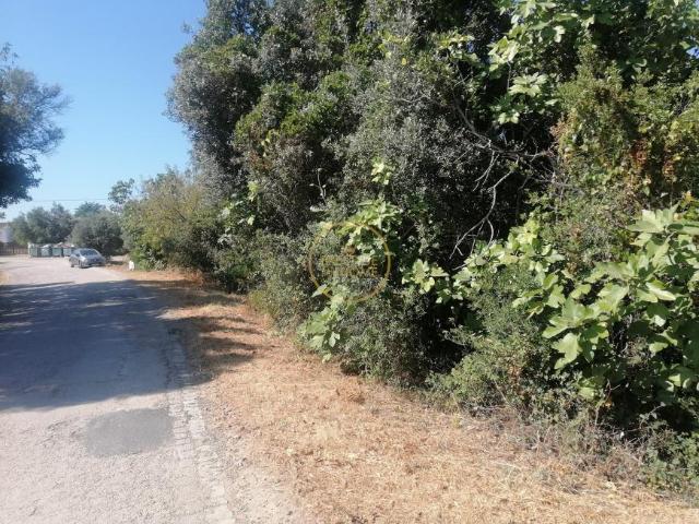 Terrenos Loulé Algarve DS93084419