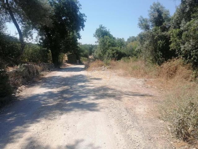 Terrenos Loulé Algarve DS93084422