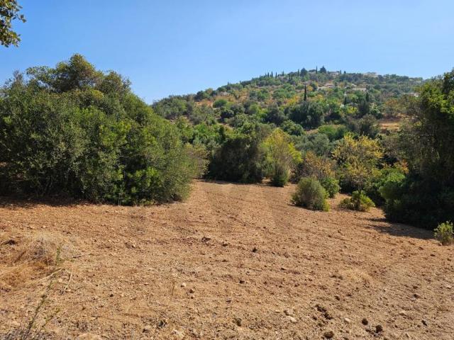 Terrenos Loulé Algarve DS94446320