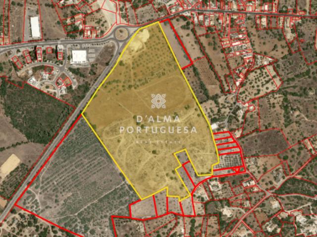 Terrenos Loulé Algarve DS94951543