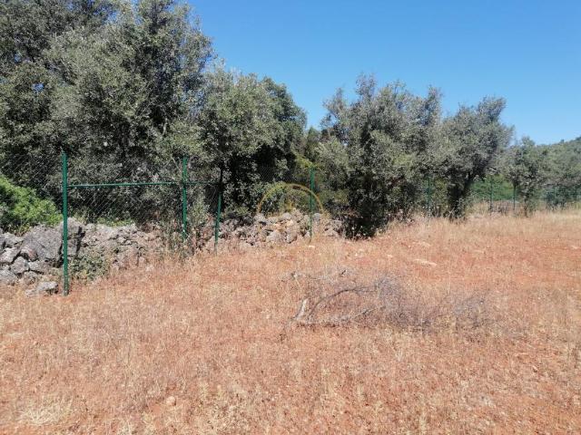 Terrenos Loulé Algarve DS94089827