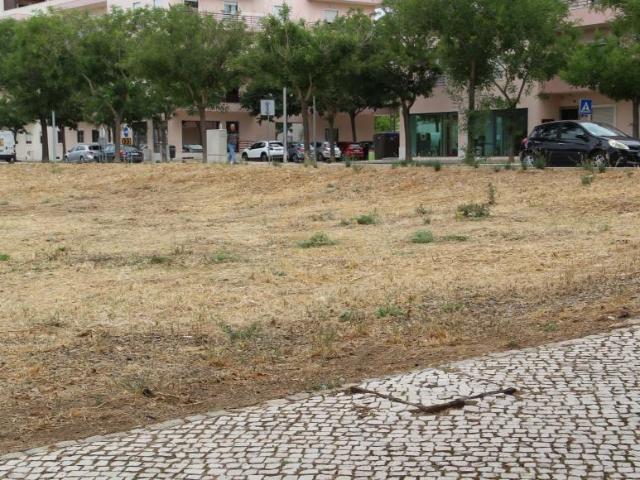 Terrenos Loulé Algarve DS94254953