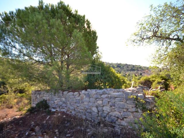 Terrenos Loulé Algarve DS95848070