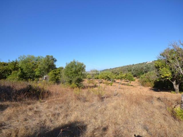 Terrenos Loulé Algarve DS95266925