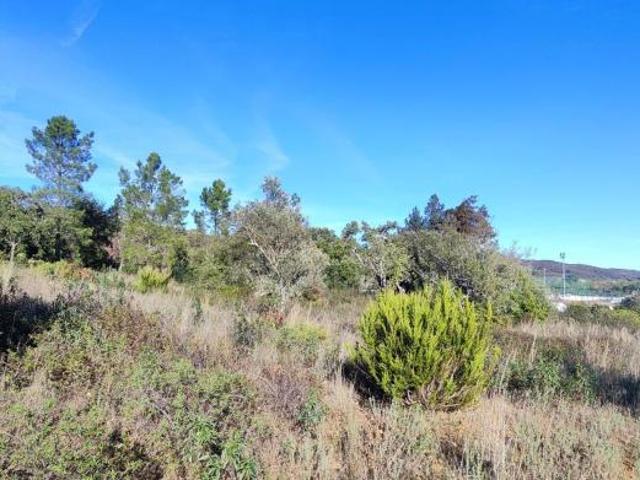 Terrenos Loulé Algarve DS96657121