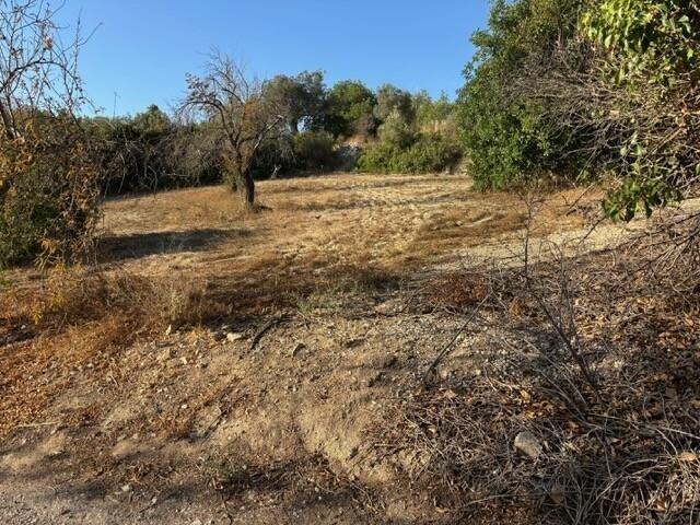 Terrenos Loulé Algarve DS97976727