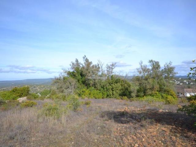 Terrenos Loulé Algarve DS98319547