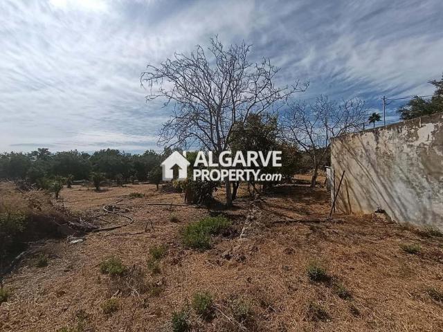 Terrenos Loulé Algarve DS98342288