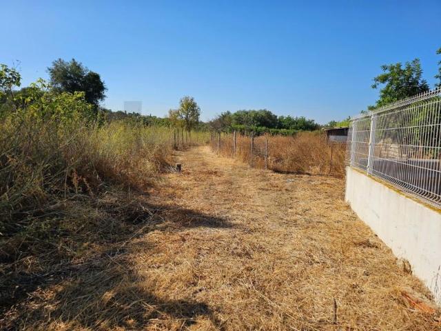 Terrenos Loulé Algarve DS99486687