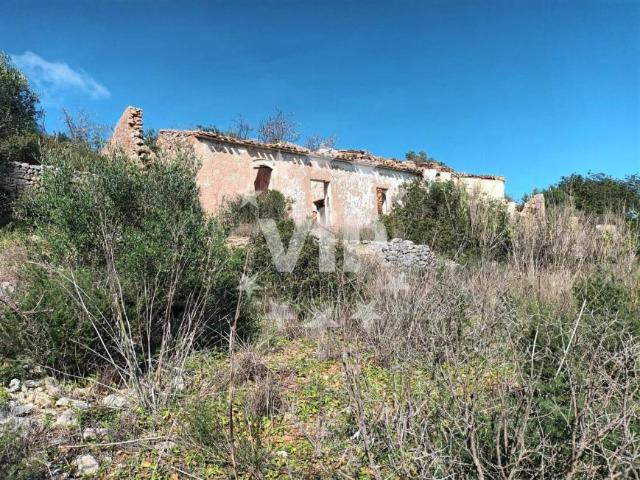 Terrenos Loulé Algarve DS99722741