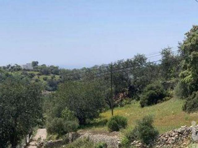 Terrenos Loule Faro DLS101277824