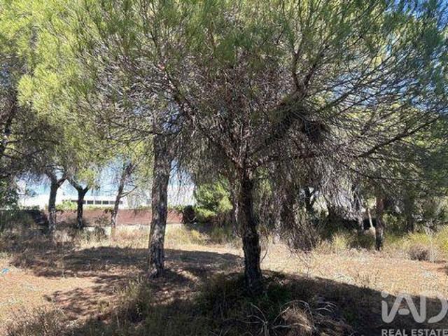 Terrenos Loule Faro DLS101598207