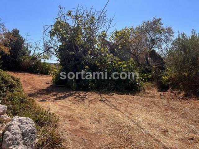 Terrenos Loule Faro DLS101653482