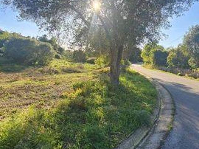 Terrenos Loule Faro DLS101623546