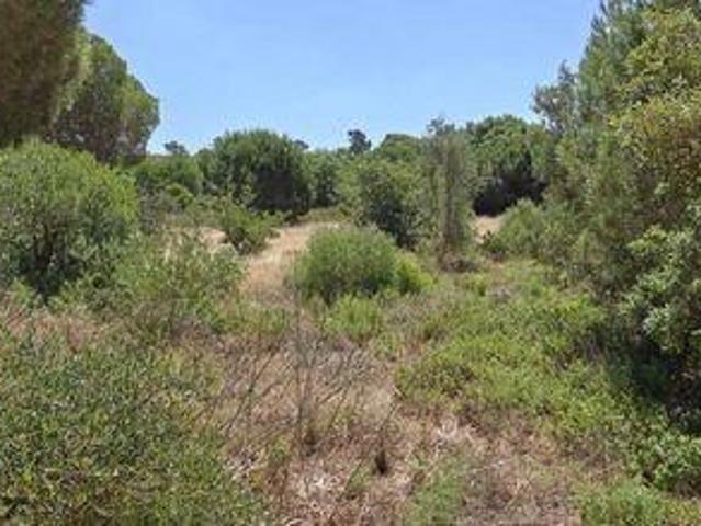 Terrenos Loule Faro DLS102667241