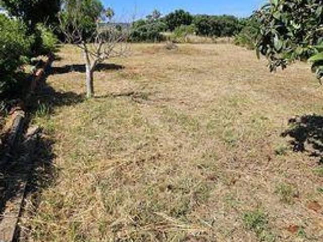 Terrenos Loule Faro DS91994572
