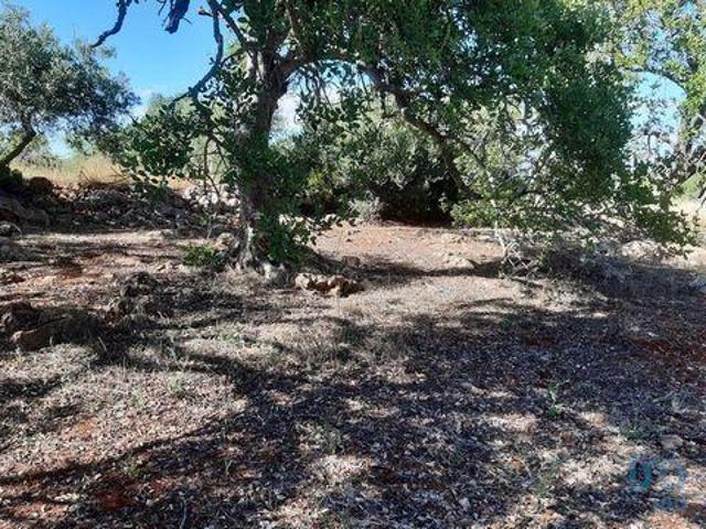Terrenos Loule Faro DS92228767