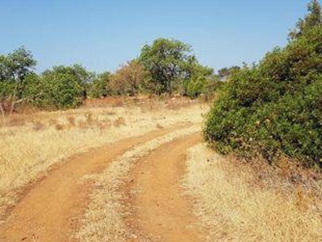 Terrenos Loule Faro DS94474343