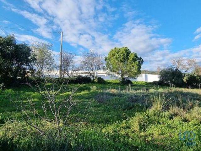 Terrenos Loule Faro DS95684285