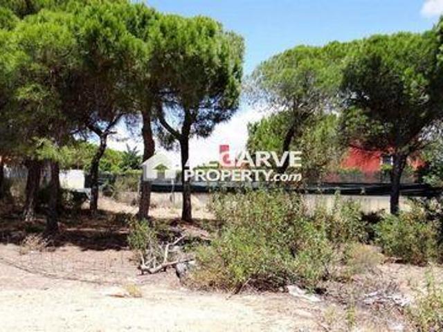 Terrenos Loulé Faro DS96316421
