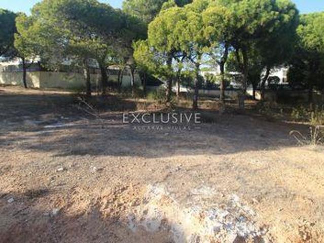 Terrenos Loulé Faro DS96316388