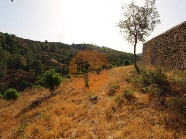 Terrenos Loulé Faro DS96319586