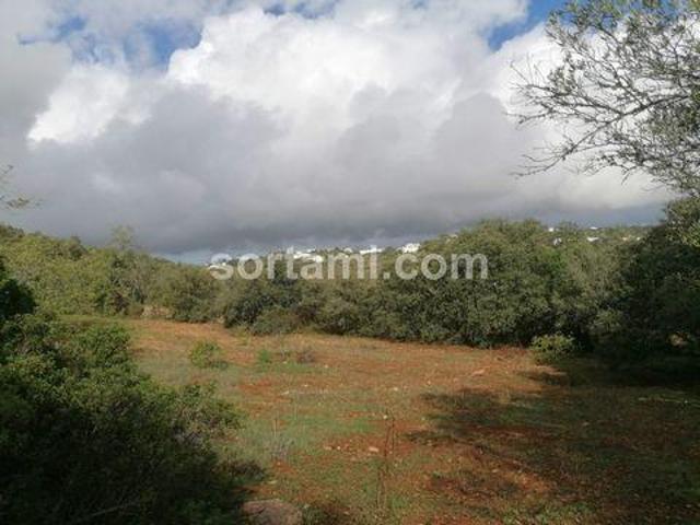 Terrenos Loule Faro DS96331072