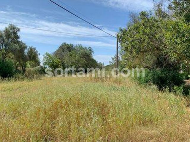 Terrenos Loule Faro DS96331259