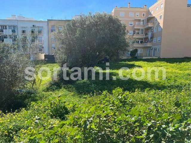 Terrenos Loule Faro DS96331377