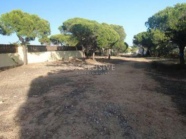 Terrenos Loulé Faro DS96332602