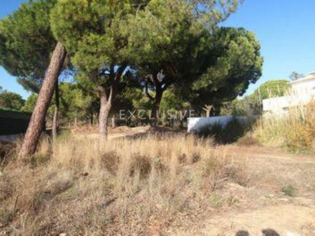 Terrenos Loulé Faro DS96332603