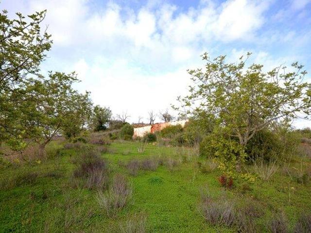 Terrenos Loulé Faro DS97444712