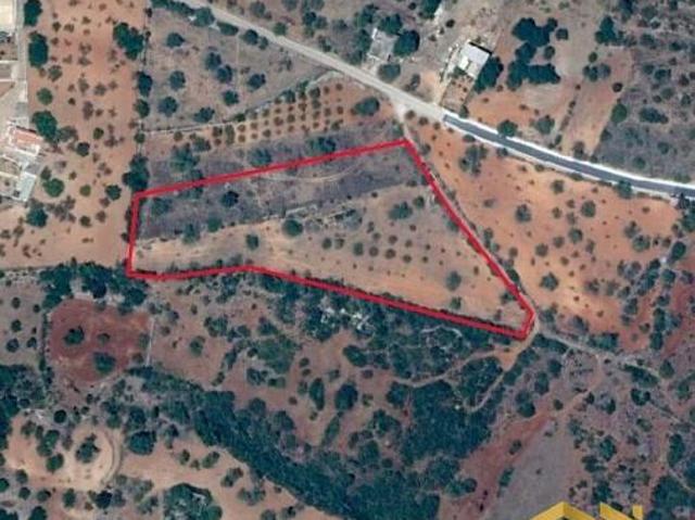 Terrenos Loulé Faro DS97444743