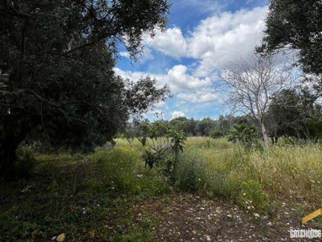 Terrenos Loulé Faro DS97055472