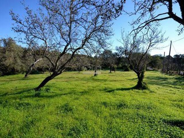 Terrenos Loulé Faro DS97101731