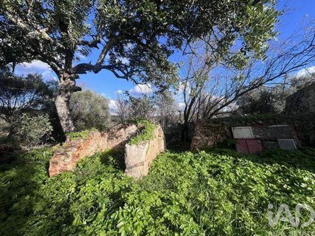 Terrenos Loule Faro DS98503442
