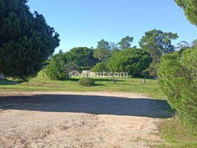 Terrenos Loule Faro DS98336231
