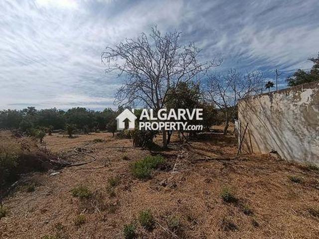 Terrenos Loulé Faro DS98366703