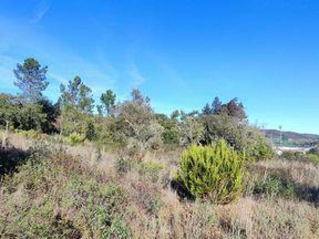 Terrenos Loulé Faro 8100 123 DS96694395