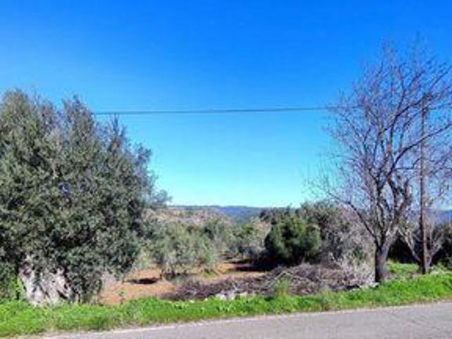 Terrenos Loulé Faro 8100 387 DS97112824