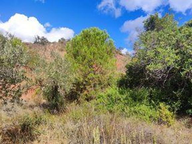 Terrenos Loulé Faro 8100 396 DS95834257