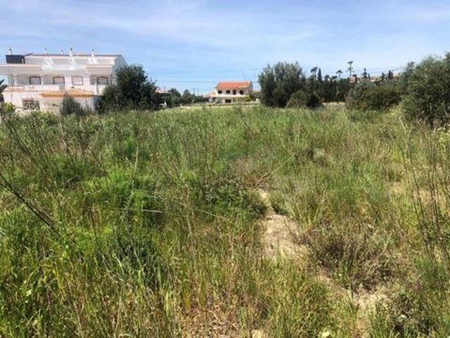 Terrenos Loulé Faro 8135 033 DS96326484