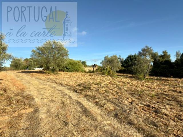 Terrenos Loulé Loulé DLS95594377