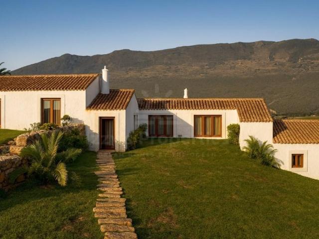 Terrenos Loulé Loulé DLS95845623