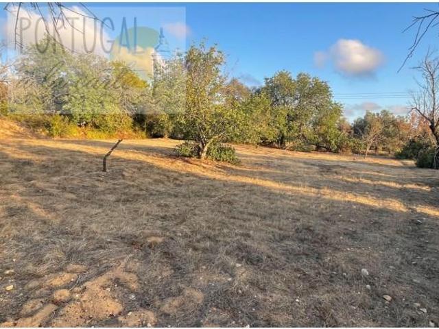 Terrenos Loulé Loulé DLS97122546