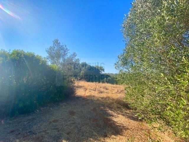 Terrenos Loulé Loulé DLS97123568